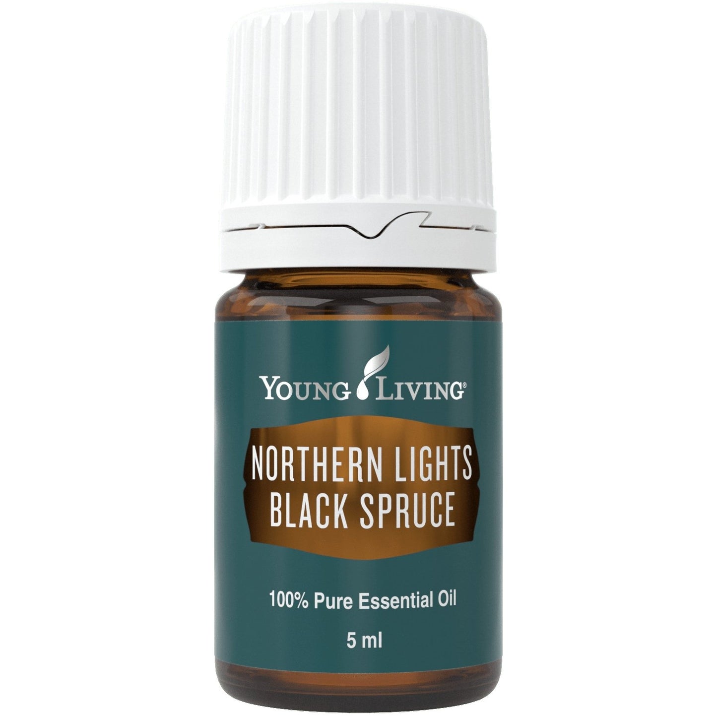 Black Spruce (Schwarz Fichte Öl) 5ml - oelebase