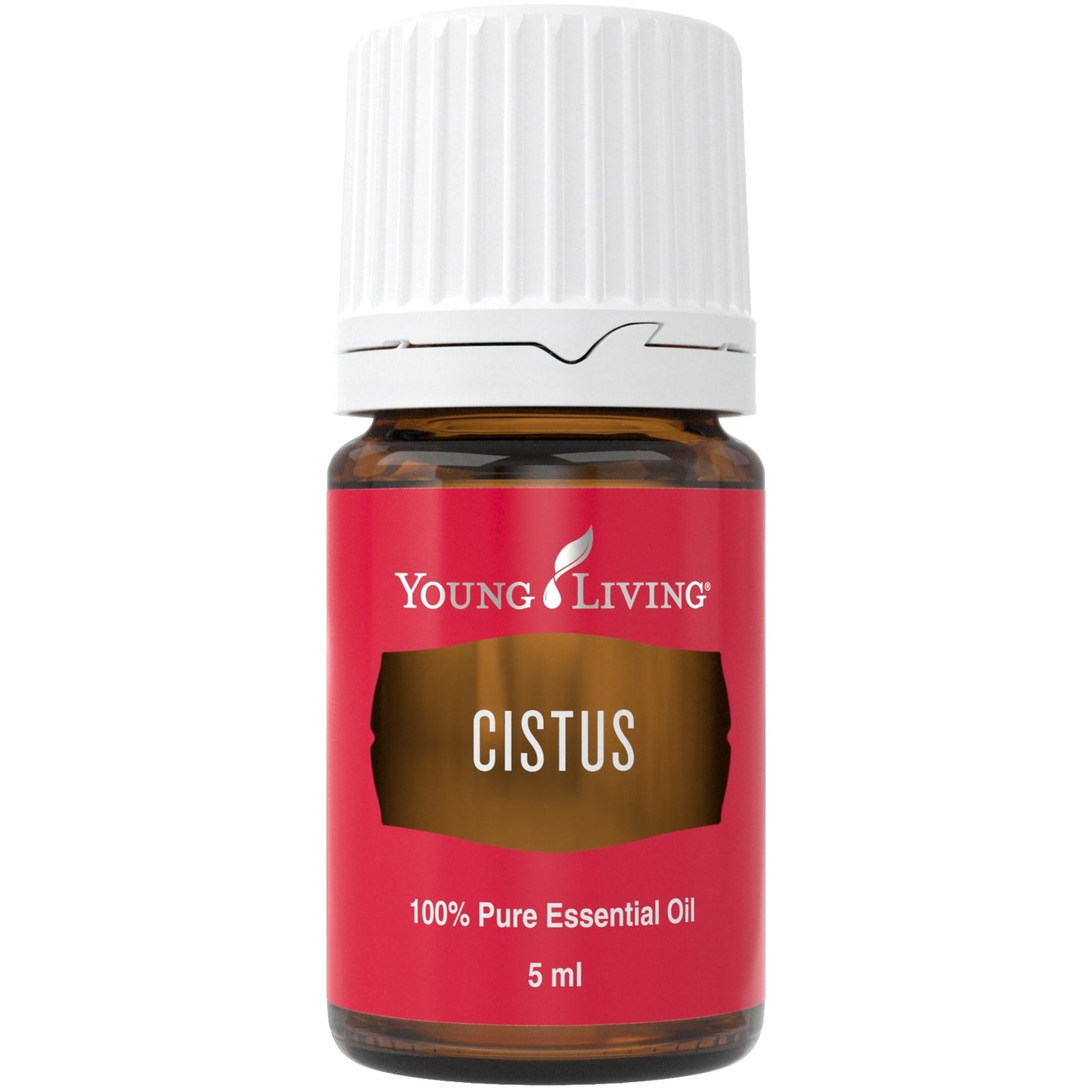 Cistus (Zistrose) 5ml - oelebase
