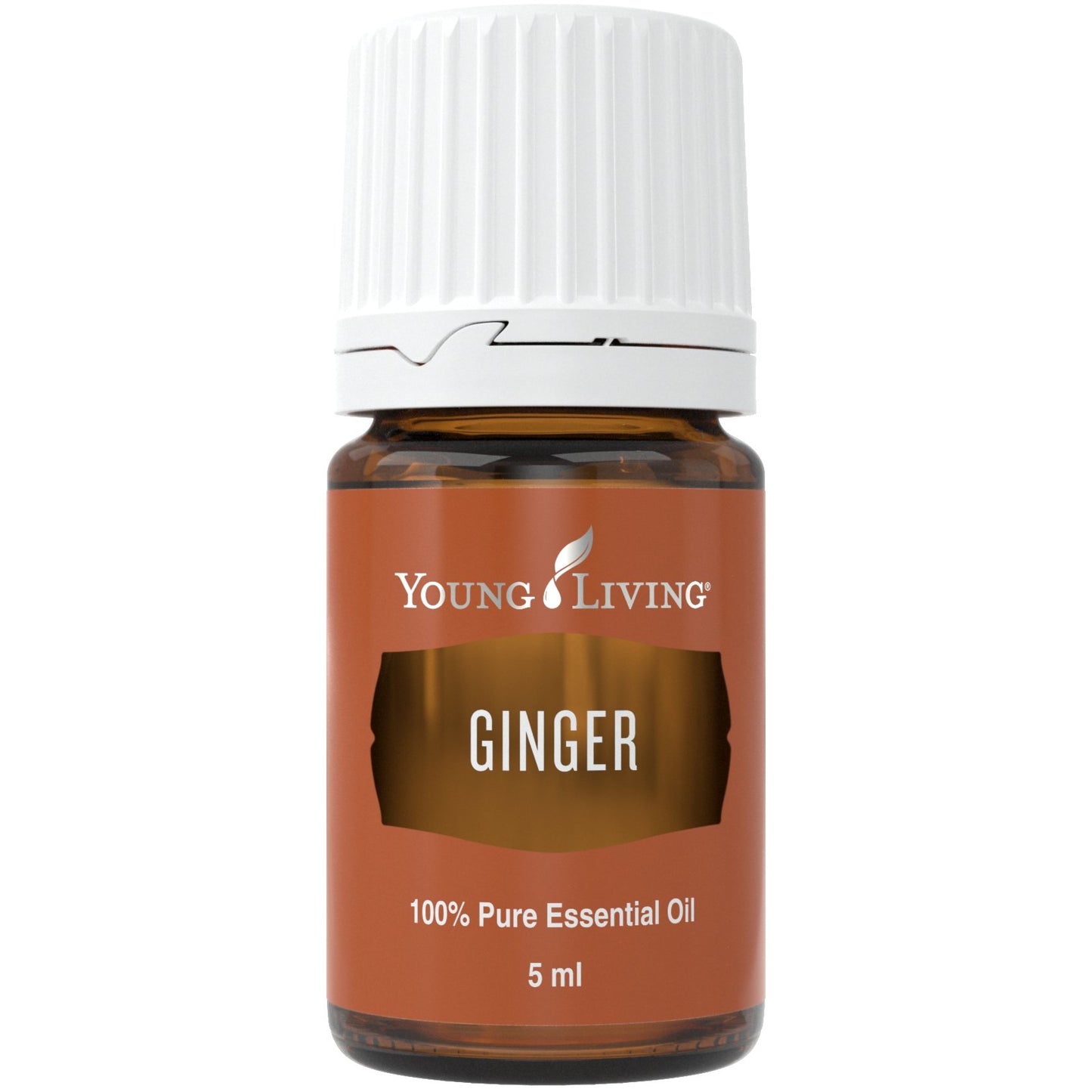 Ginger (Ingwer) 5ml - oelebase