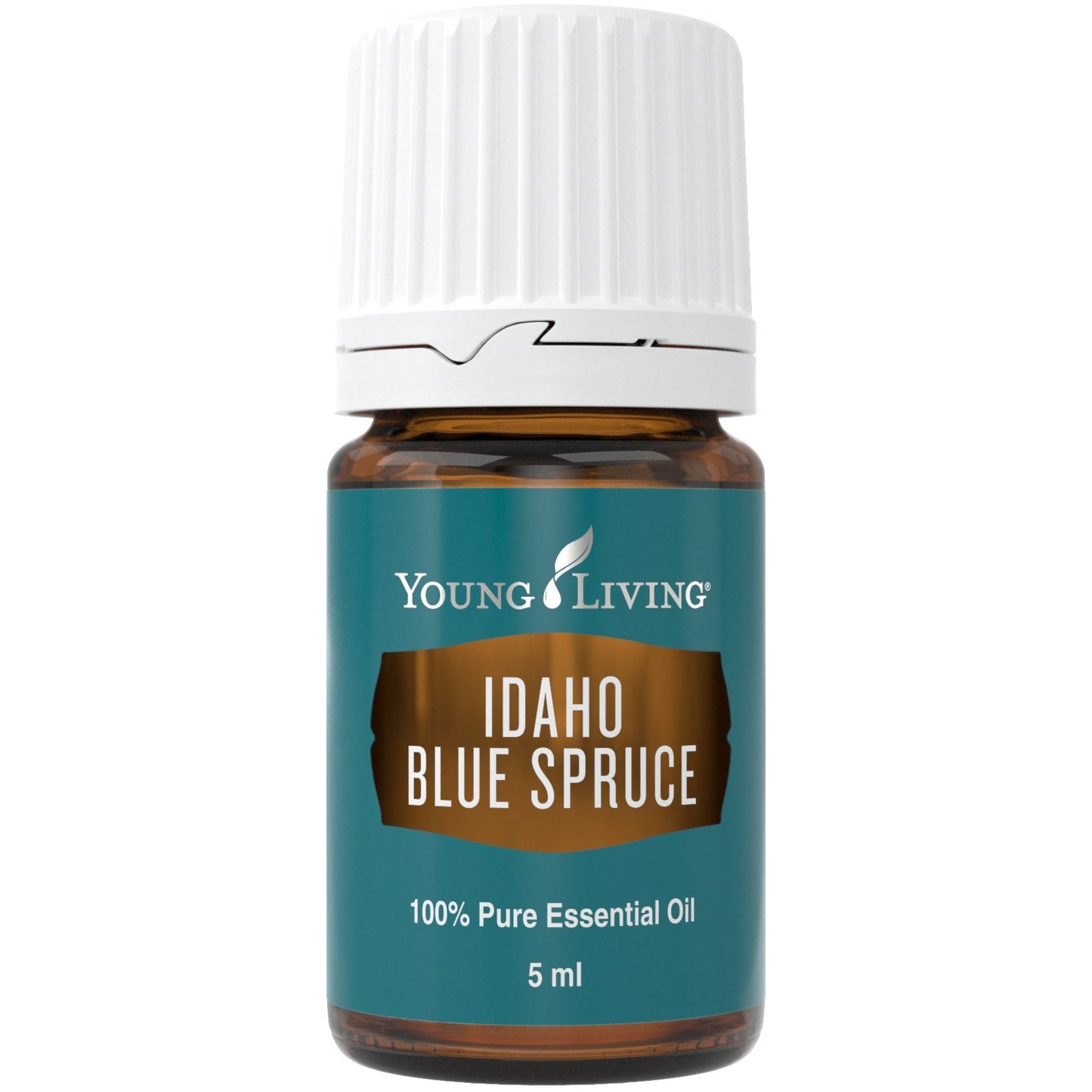 Idaho Blue Spruce (Blau Fichte) 5ml - oelebase