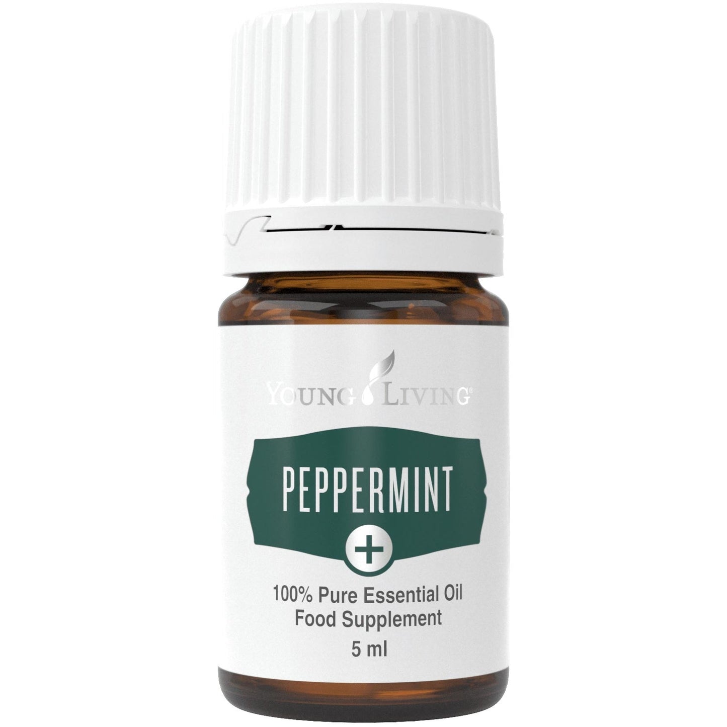 Pfefferminze (Peppermint) Plus Öl 5ml - oelebase