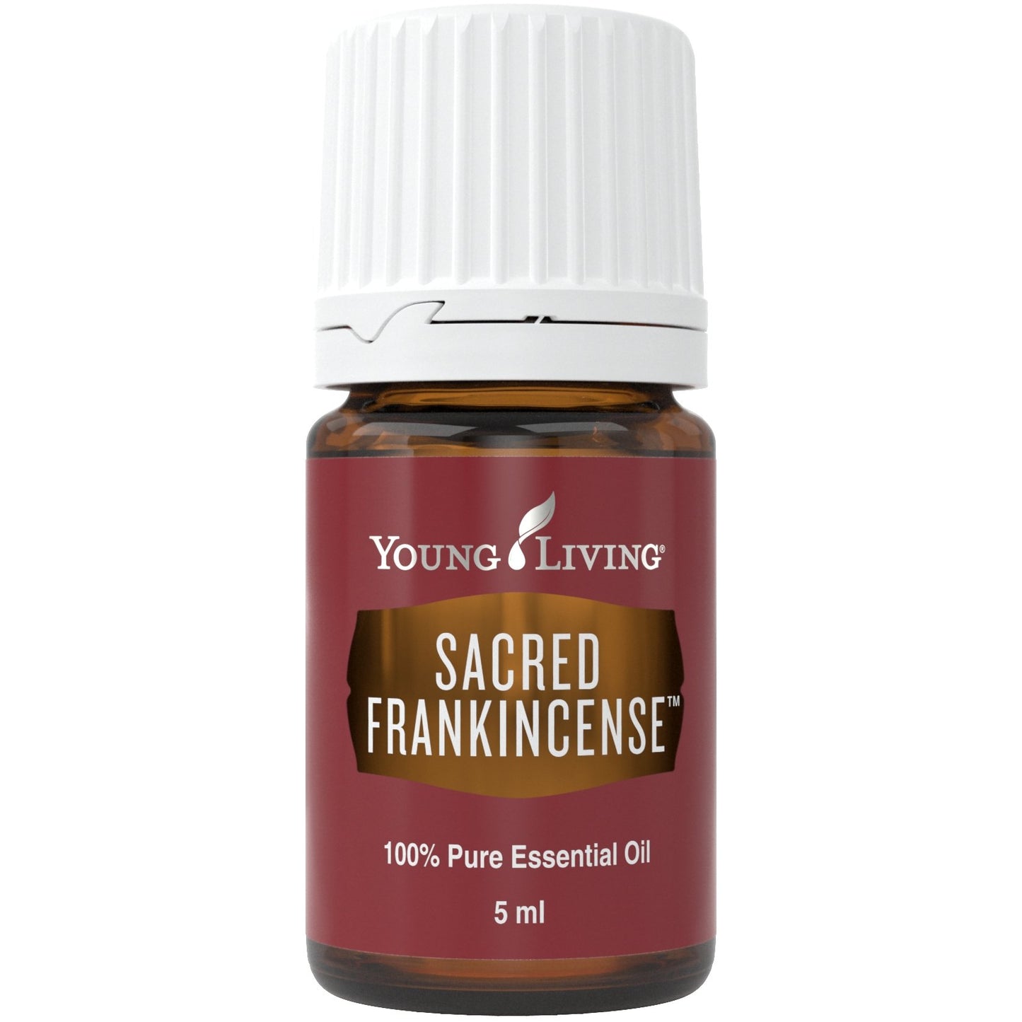 Sacred Frankincense (Heiliger Weihrauch) 5 ml - oelebase