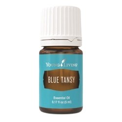 Blue Tansy - Blauer Rainfarn 5ml - oelebase