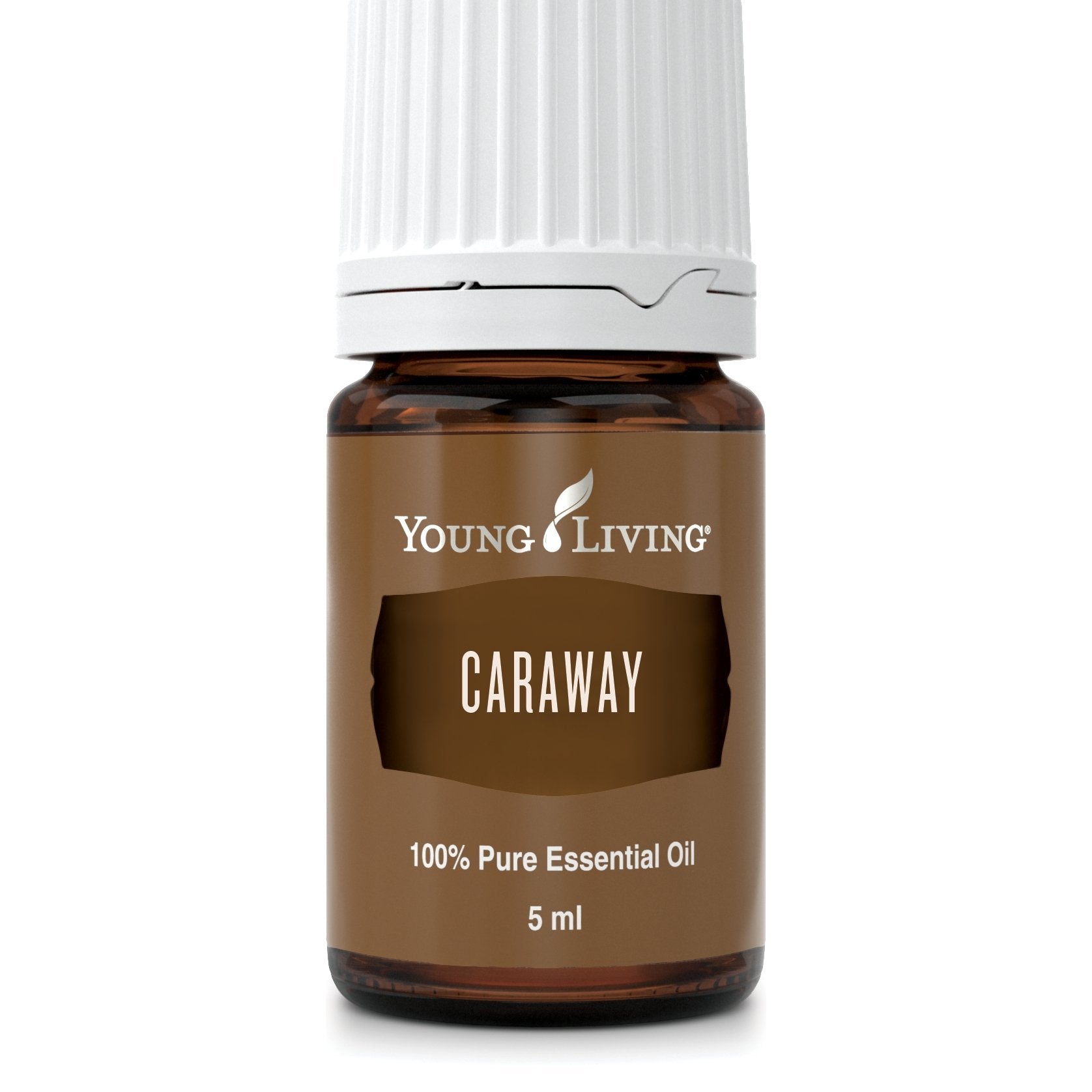 Caraway (Kümmel Öl) 5ml - oelebase