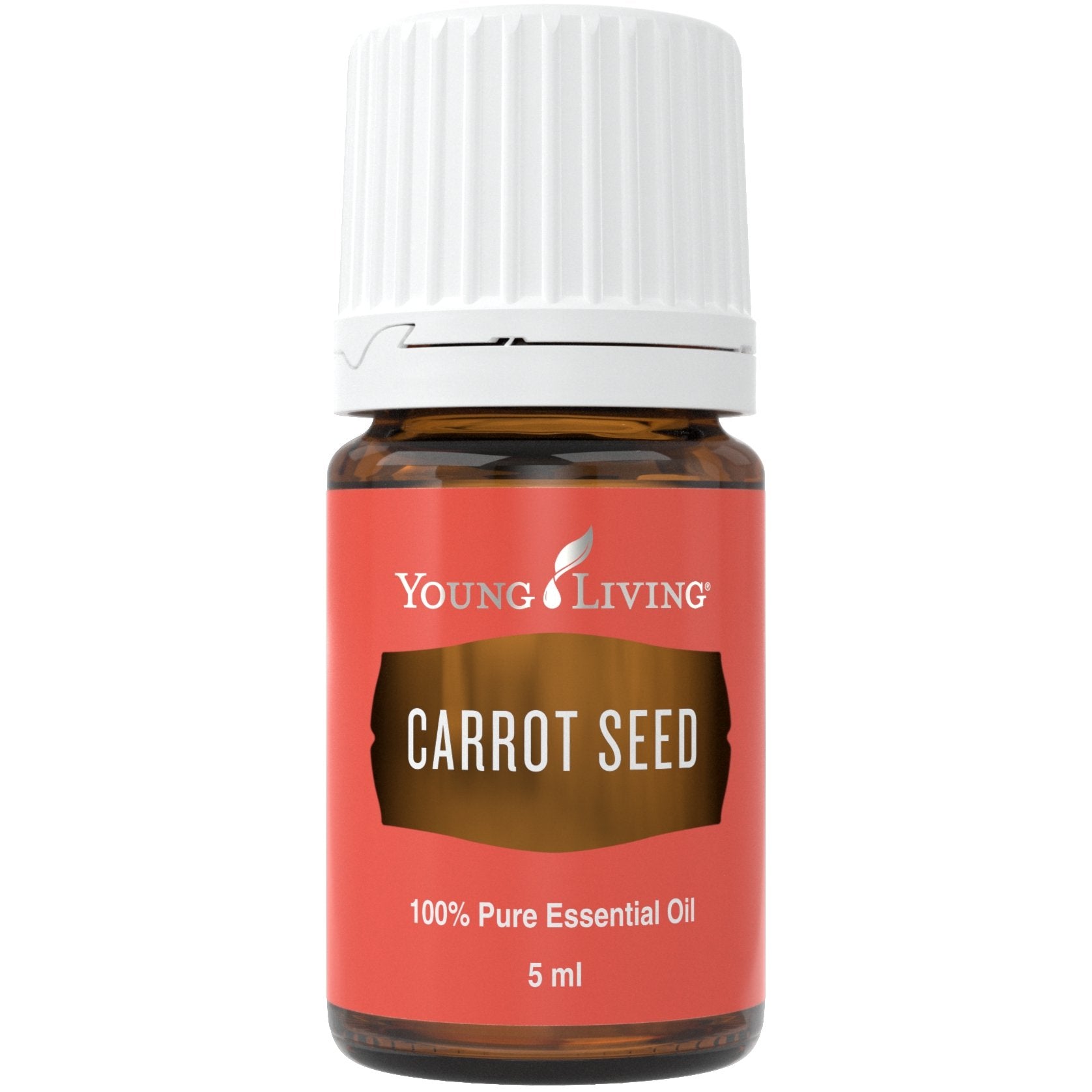 Carrot Seed (Karottensamen) 5ml - oelebase