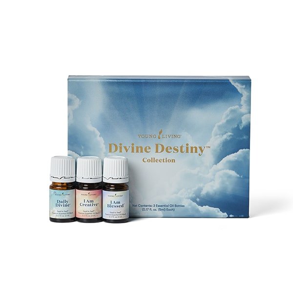 Divine Destiny Collection 3 x 5ml Daily Divine, I Am Blessed, and I Am Creative - oelebase