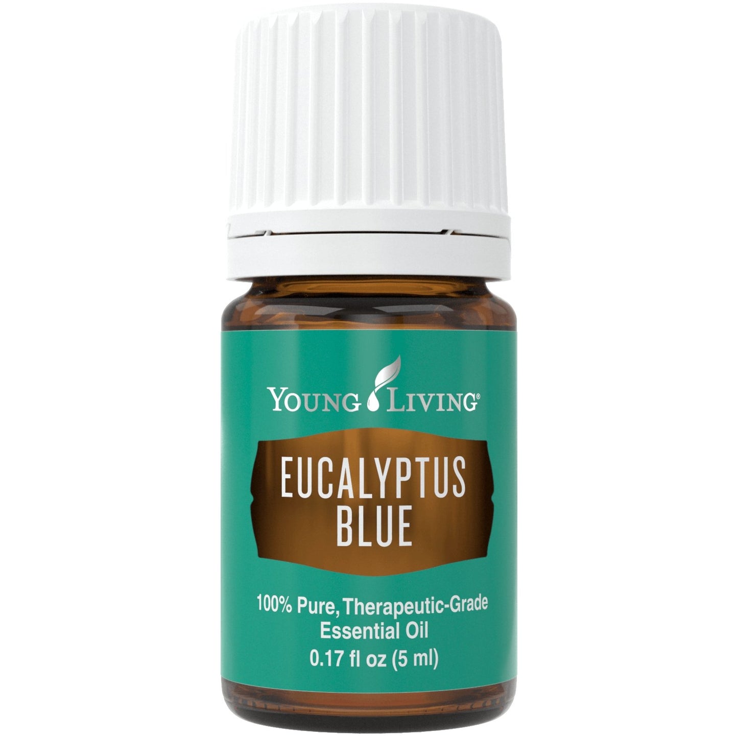 Eucalyptus Blue 5ml - oelebase