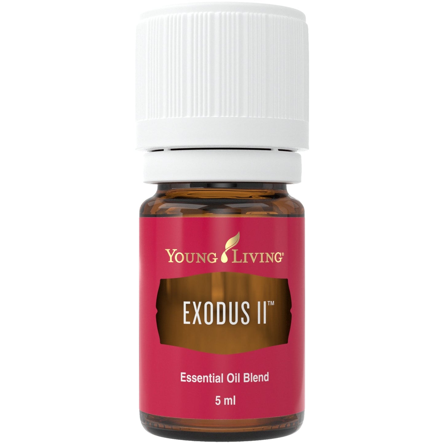 Exodus II (Bibel) 5ml - oelebase