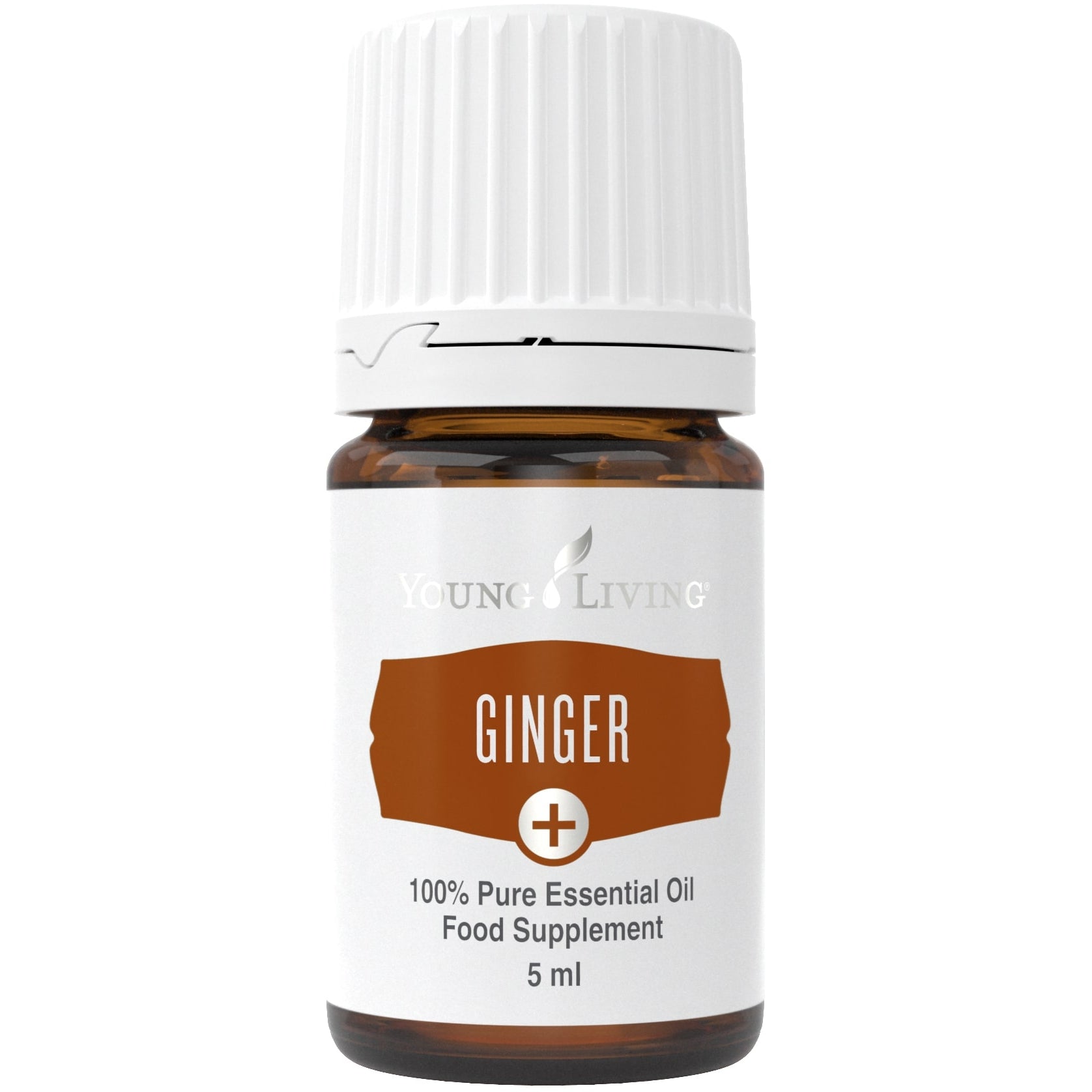 Ginger Plus Öl (Ingwer) 5ml - oelebase