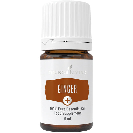 Ginger Plus Öl (Ingwer) 5ml - oelebase