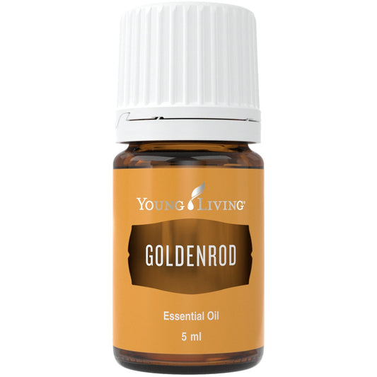 Goldenrod (Stärken) 5ml - oelebase