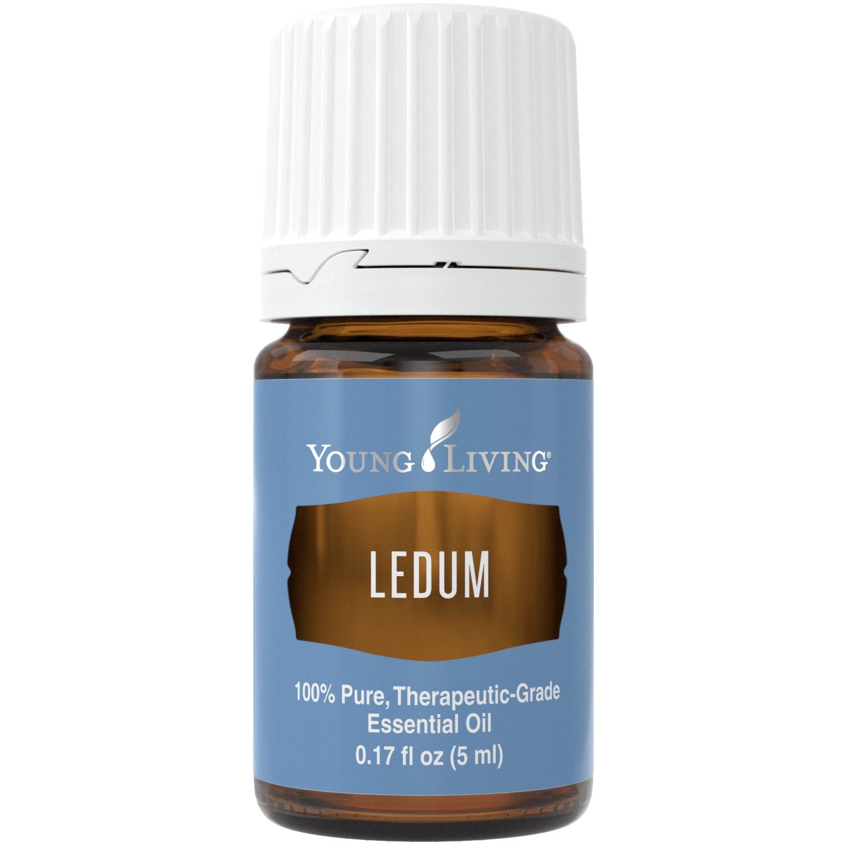 Ledum 5ml - oelebase