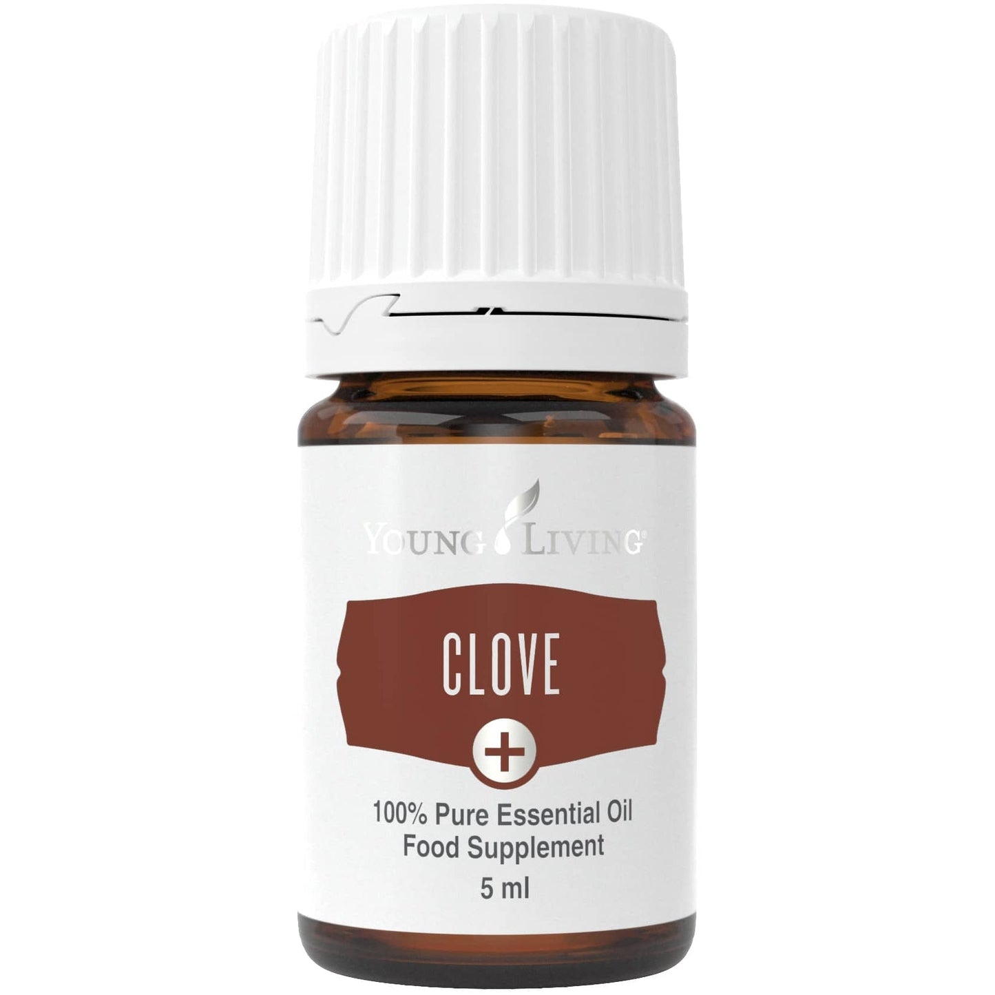Nelke Plus Öl (Clove) 5ml - oelebase