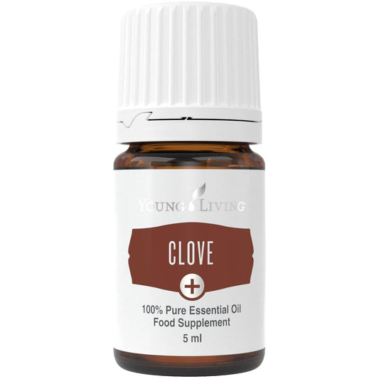 Nelke Plus Öl (Clove) 5ml - oelebase