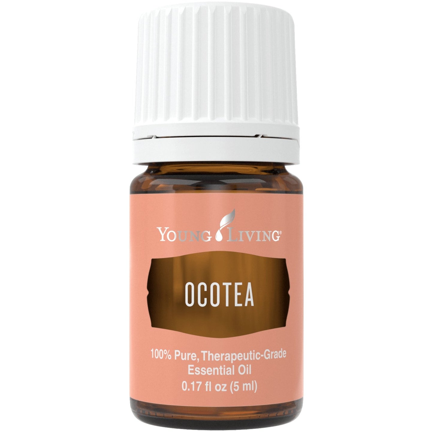 Ocotea 5ml - oelebase