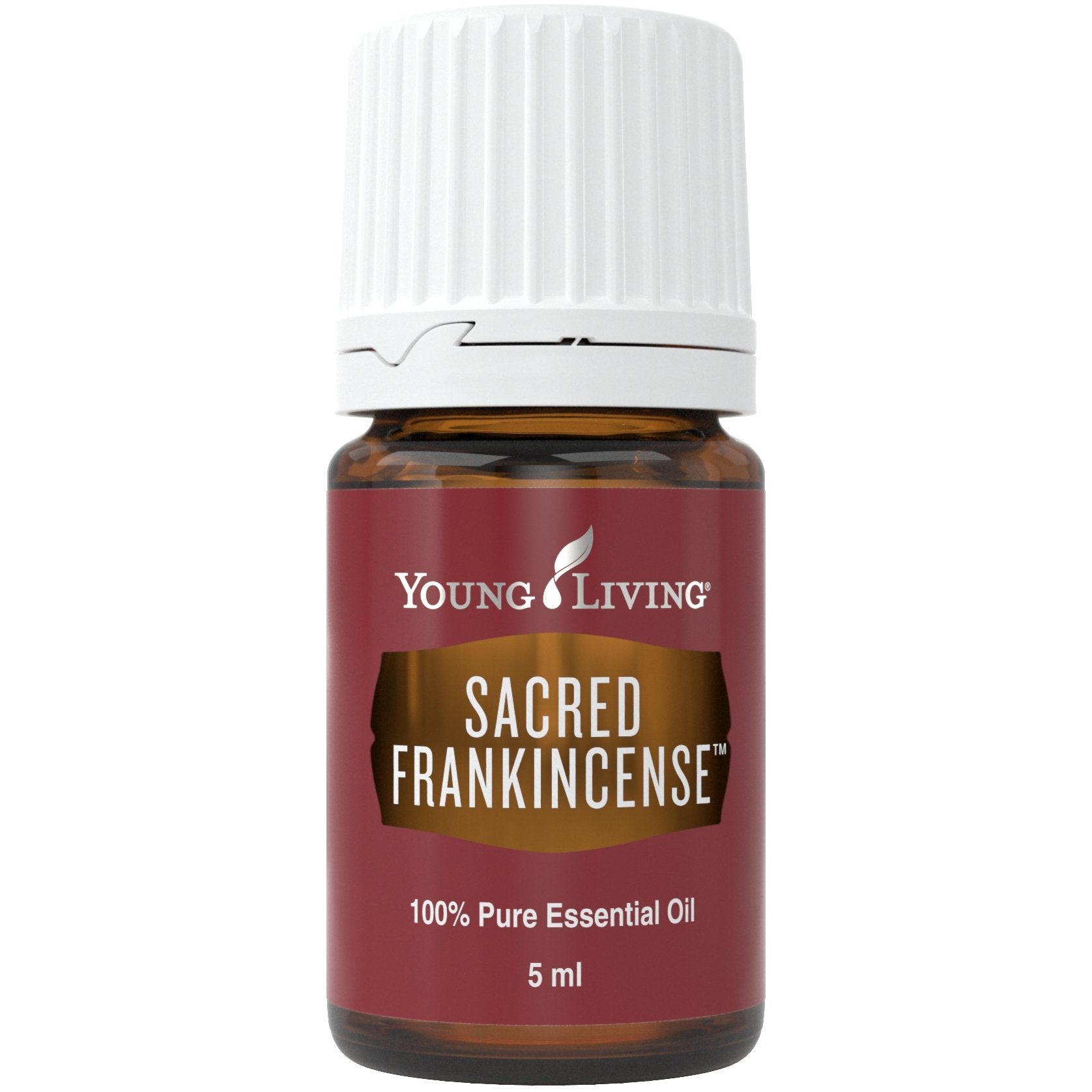 Sacred Frankincense (Heiliger Weihrauch) 5 ml - oelebase