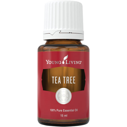 Tea Tree (Teebaumöl) 15ml - oelebase